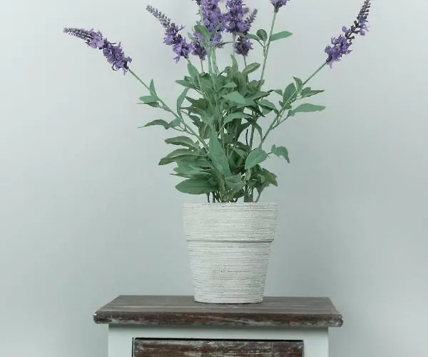 Farmhouse Apartman شقة إغير