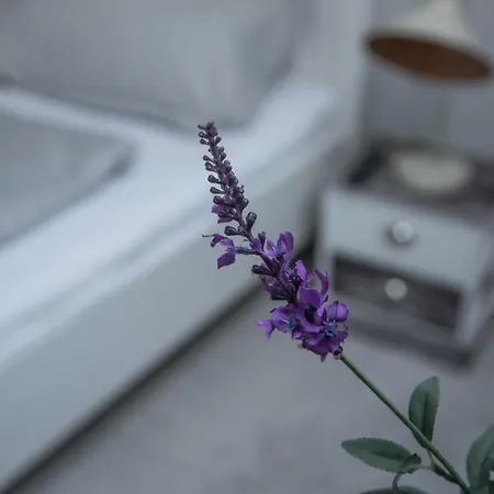 Farmhouse Apartman 에게르