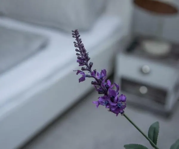 Farmhouse Apartman Eger